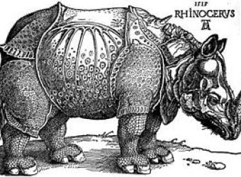 Dürer_-_Rhinoceros
