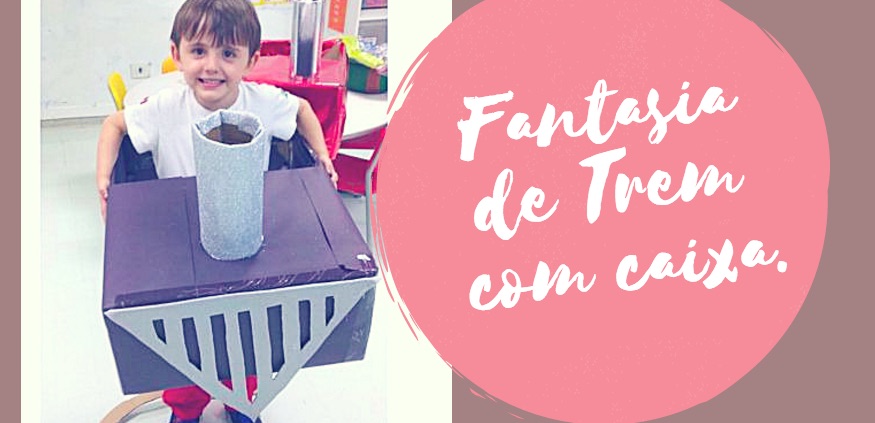 Fantasia de Trem com caixa.