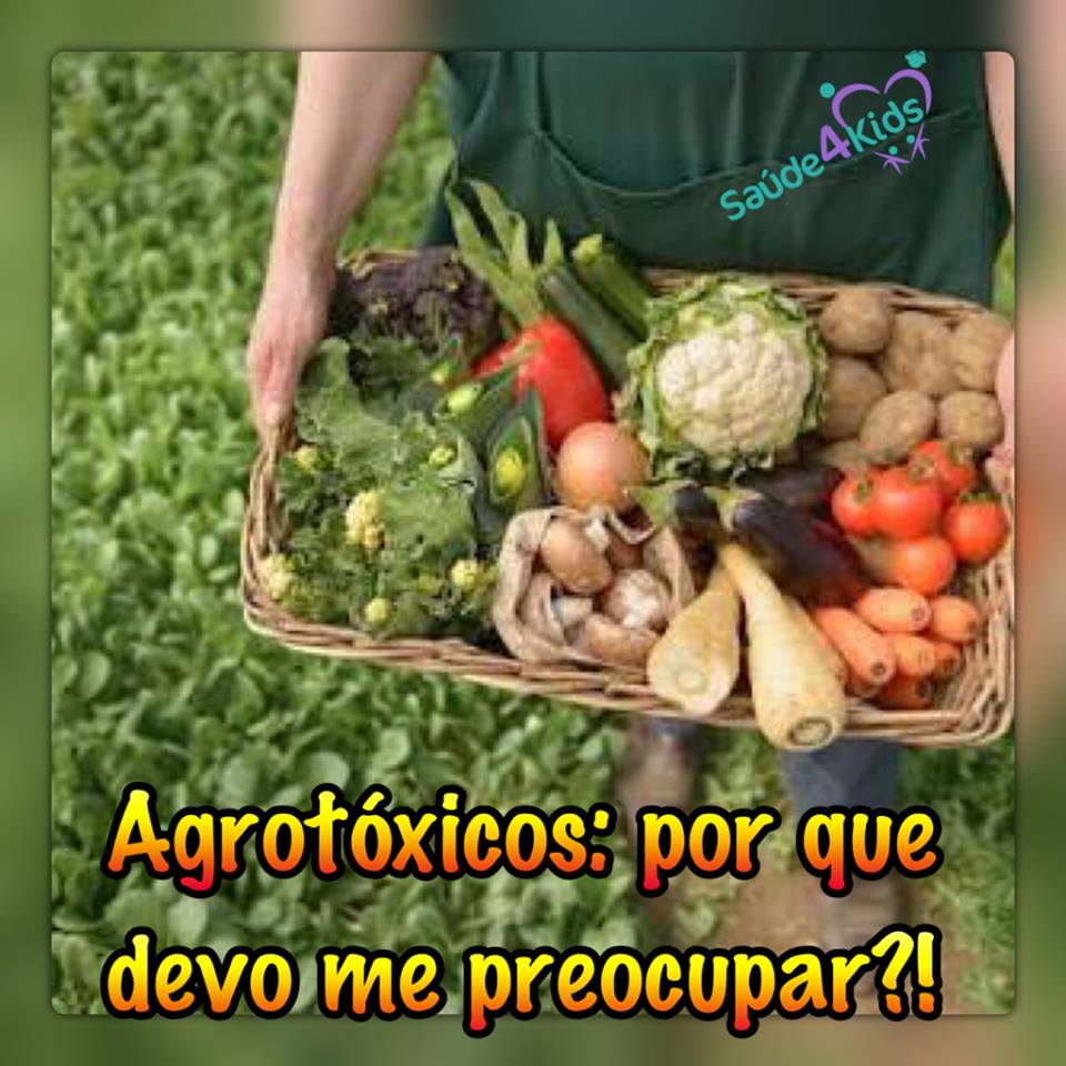 11990641_1591189497873218_2464989059469325435_n