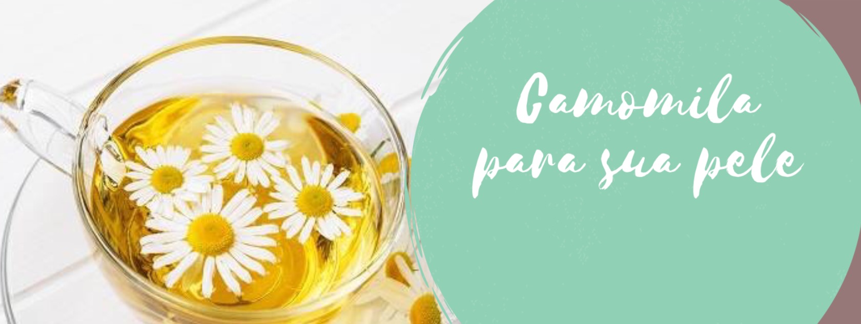 Camomila para sua pele