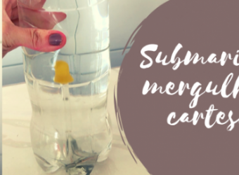 Submarino ou mergulhador cartesiano